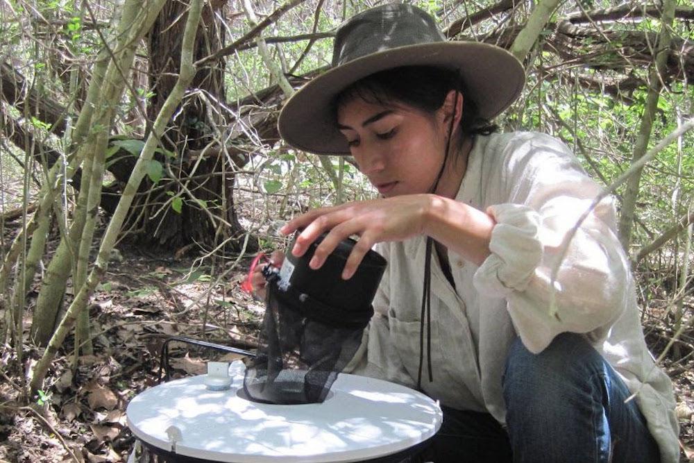 Research Student at Wild Basin
